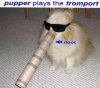 image.jpeg