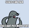 seal.jpg