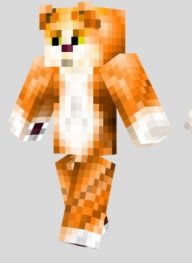 diamond_dude08 cat