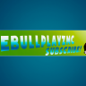 TheBullPlayzMC
