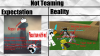 Should_you_team_or_should_you_not_team.png