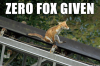 Zero fox given.png
