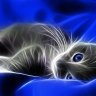 Bluecheesegirl1