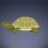 DyslexicTortoise
